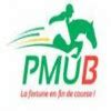 Le journal hippique du jour du pmub .